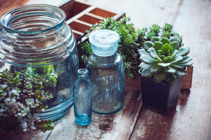 Personalized Approaches to Clutter Removal and Hoarder Clean Up